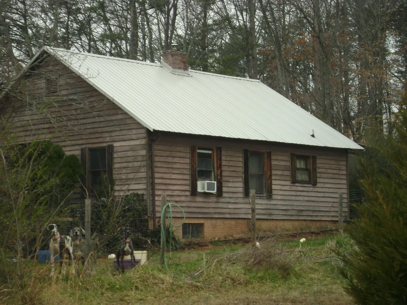White metal roof on an old wood sided farmhouse, from a Asphalt Shingle Roof Repair job in Pueblo